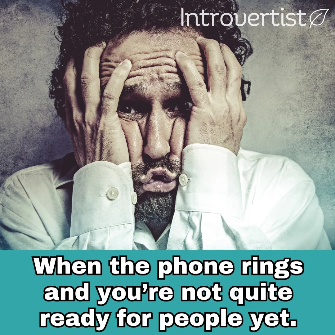 Introvert Meme